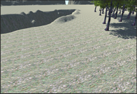 Capture (2)