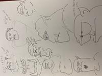IMG 6991