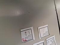 PXL 20241001 135155723