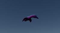 norhan bird 3