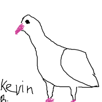Kevin