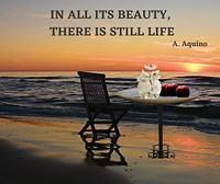 Still Life A. Aquino
