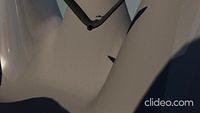 Offical Flying Bird Video