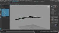 Bird Rigging Video