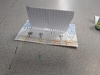 PXL 20240223 115533475