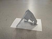 PXL 20240223 123325960