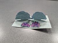 PXL 20240223 151745377