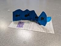 PXL 20240226 114518965