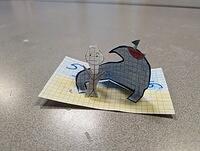 PXL 20240226 114534582