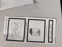 PXL 20240226 172645706