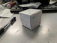 PXL 20240308 143738572