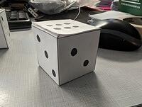 PXL 20240308 150706882