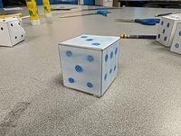 PXL 20240308 152955383