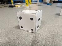 PXL 20240308 153050671