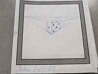 PXL 20240307 154505021