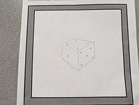 PXL 20240306 153009935