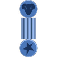 rachelcoinmap