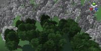 Terrain
