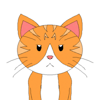 Tim's kitten